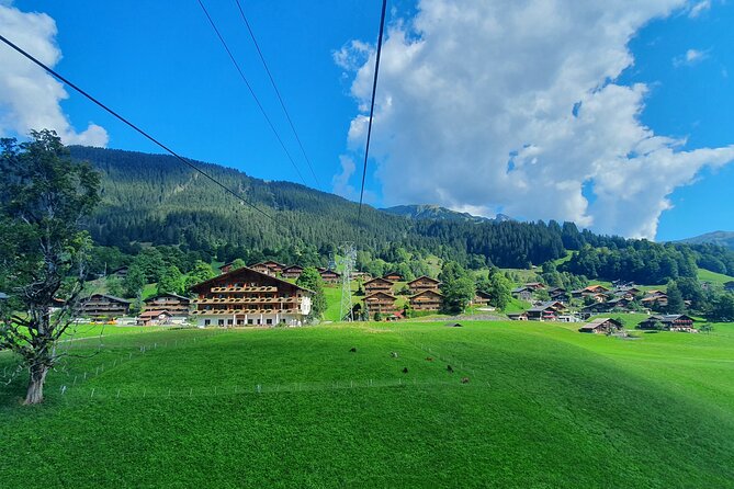 Grindelwald First (Top of Adventure) Ticket incl. Cliff Walk - The First Cliff Walk by Tissot