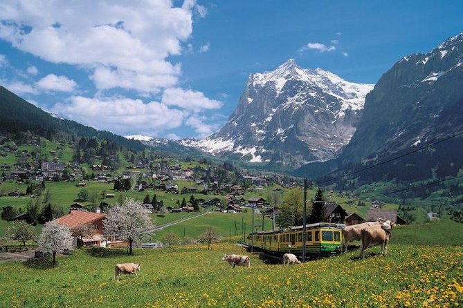 Grindelwald, Interlaken and Lauterbrunnen Day Trip from Lucerne - Grindelwald: the main event, with 3.5 hours to spend