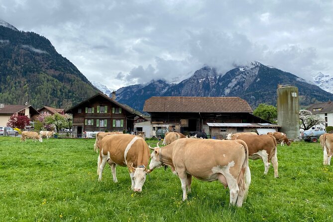 Grindelwald, Lauterbrunnen & Mürren Private Day Trip from Zurich - Raclette lunch with a mountain view