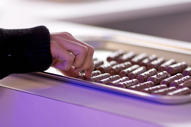 Gruyères Tour from Geneva With Train, Chocolate and Cheese - Gruyère cheese, tasting, and fondue