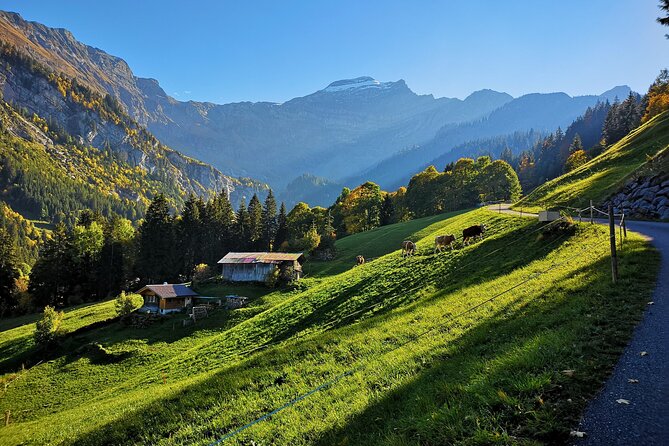 Guided Excursion to Jungfraujoch, Grindelwald and Lauterbrunnen from Lucerne - Guides, languages, and group management