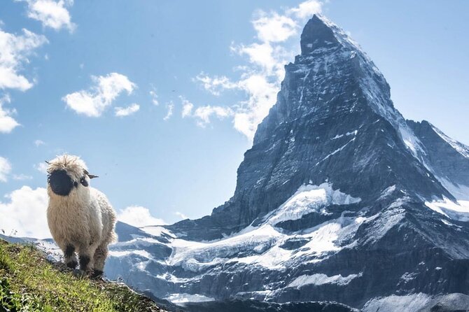 Guided Hiking Half Day in Zermatt - Why a private guide helps in Zermatt