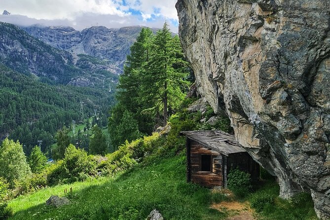 Guided Hiking Half Day in Zermatt - Gorner Gorge and the change of scenery