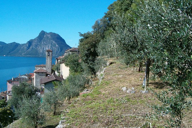 Guided Walk from Lugano to Gandria promoted by Lugano Region - return by boat - Should you book the Lugano to Gandria walk?