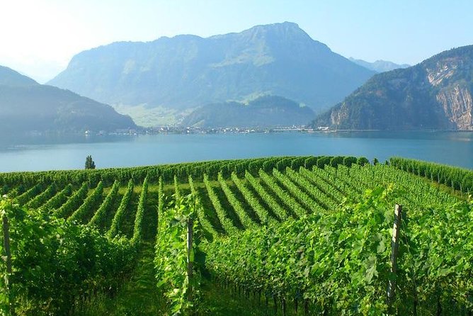 Half-Day Lake Lucerne Country Walk - Views of Lake Lucerne, Pilatus, and Rigi