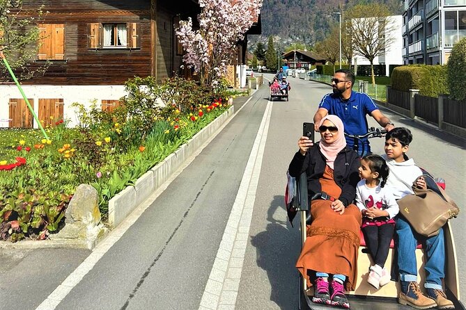 Hidden gems e-bike tour with picnic at Lake Brienz - What the guide adds to a small group