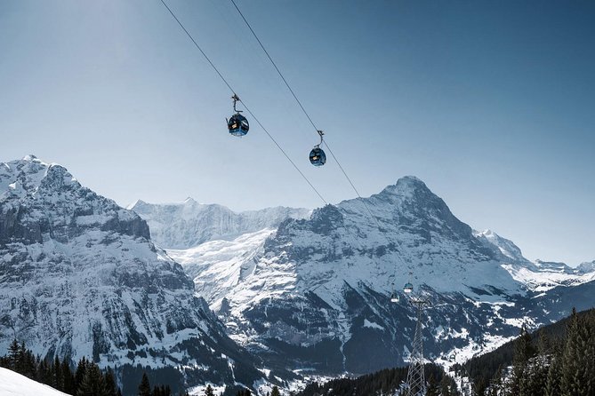 Interlaken and Grindelwald Day Trip from Lucerne - Who will enjoy this trip most