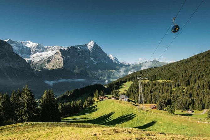 Interlaken and Grindelwald Day Trip from Lucerne - A guide-led tour in name, an independent day in practice