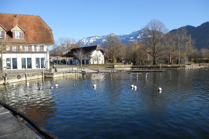 Interlaken Private Tour: Mountains Cows, Thun Lake, and Brienz Lake - Why the private minivan changes the experience
