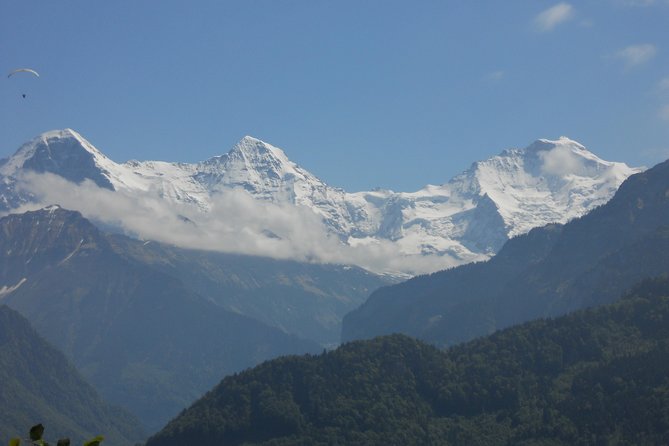 Interlaken Private Tour: Mountains Cows, Thun Lake, and Brienz Lake - A possible look at Selpark and its rope park
