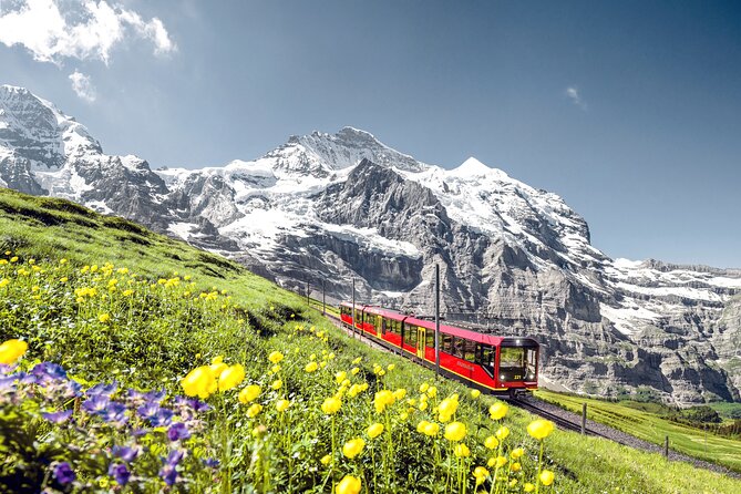Jungfrau, Top of Europe & Interlaken Small group from Zurich - Snow, restaurants, and time at the summit