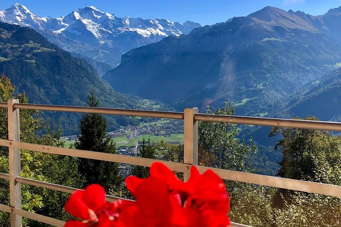 Jungfraujoch (Private Tour) - A practical hour in Interlaken