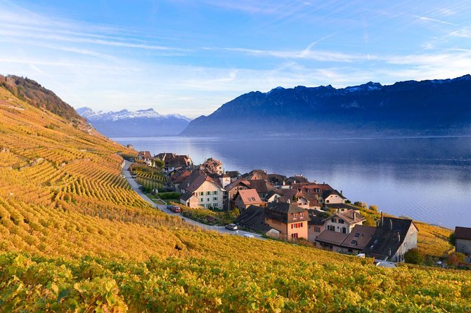 (KTG302) - Day Trip to Montreux & Château de Chillon from Geneva - Vevey and the Place du Marché