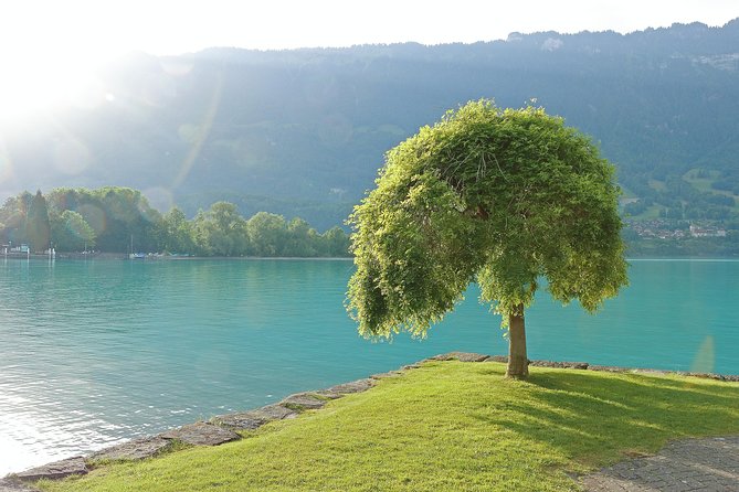 (KTL361) - Interlaken day trip by bus from Lausanne - The ride from Lausanne to the Alps