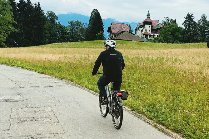 Lake Lucerne Peninsula e-Bike Tour - Luis and the value of a local guide
