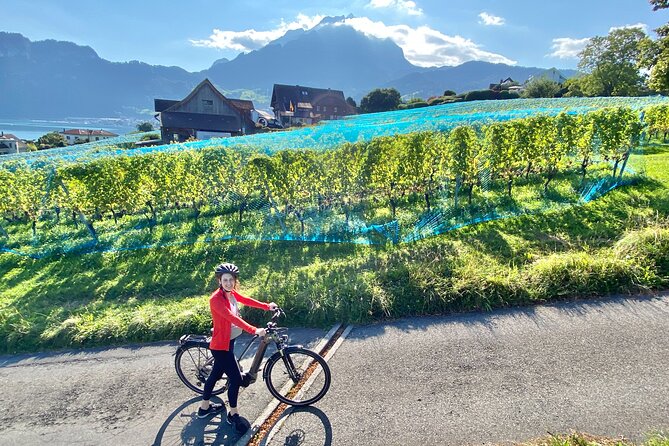 Lake Lucerne Peninsula e-Bike Tour - Bikes, helmets, and choosing the right size