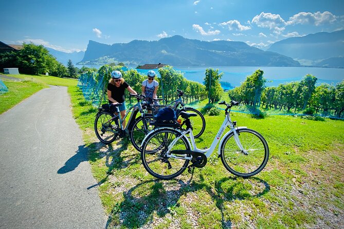 Lake Lucerne Peninsula e-Bike Tour - The weather and seasonal tradeoff