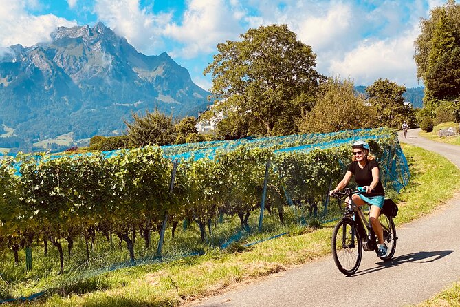 Lake Lucerne Peninsula e-Bike Tour - The countryside side of Lucerne
