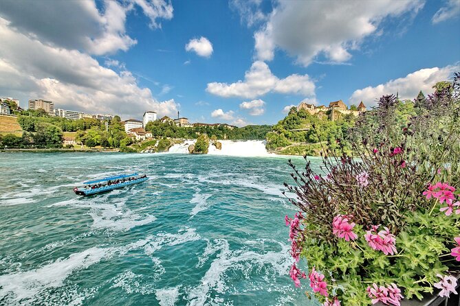 Morning group tour to Rhine falls - Key points to know before booking