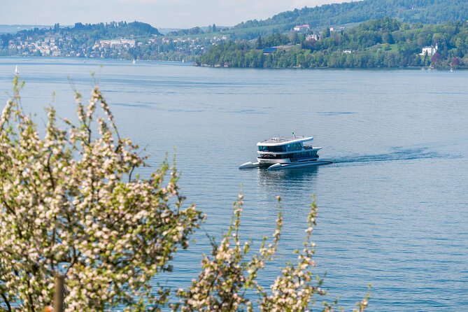 Mount Bürgenstock Independent Tour from Lucerne - Is $112.39 a fair price?