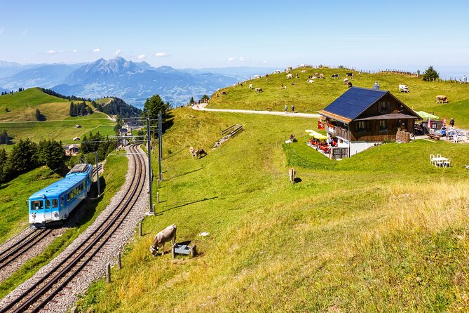 Mount Rigi: A Scenic Day Trip to the Queen of the Mountains - Lunch and mountain views at Rigi Staffel