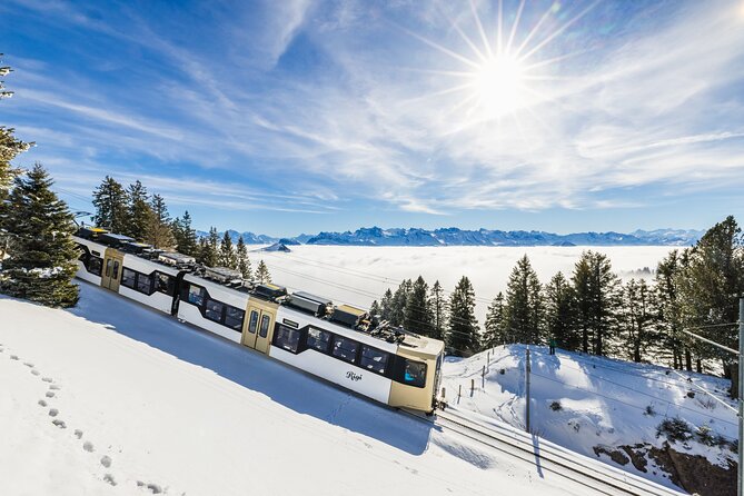 Mount Rigi Day Ticket - Reaching Rigi Kulm by cogwheel railway