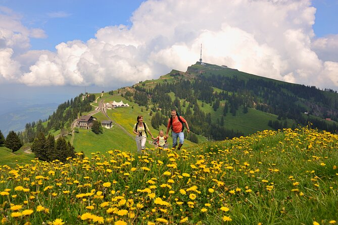 Mount Rigi Day Trip from Lucerne - Down by cable car to Weggis