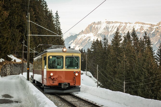 Mountain Majesty: Small Group Tour to Lauterbrunnen and Mürren - The gondola climb to Grütschalp