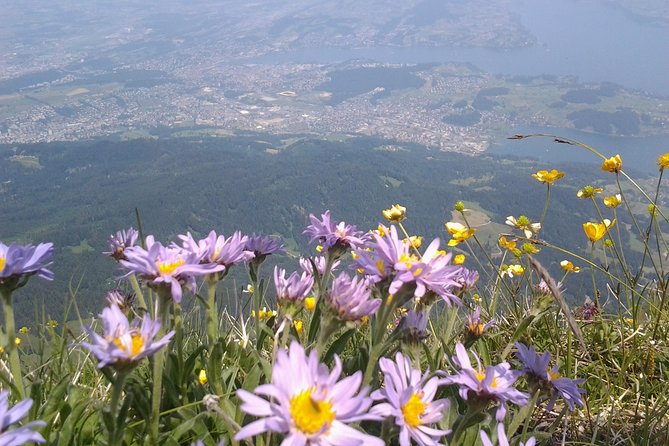 Mt. Pilatus Golden Roundtrip Private Day Trip from Basel - What to do at the summit