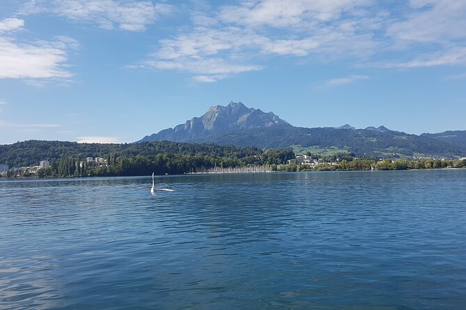 Mt. Pilatus Golden Roundtrip Small Group Day Trip from Basel - Lake Lucerne by boat to Alpnachstad