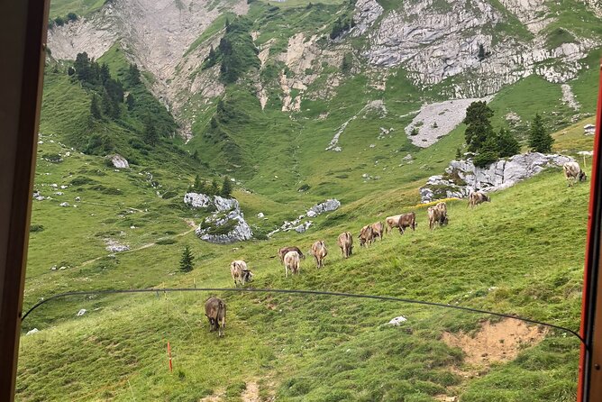 Mt. Pilatus with Lake of Lucerne Cruise Private Tour from Lucerne - The world’s steepest cogwheel railway down to Alpnachstad