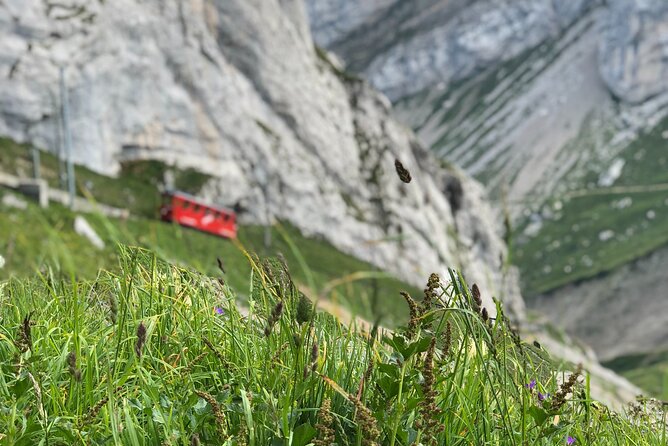 Mt. Pilatus with Lake of Lucerne Cruise Private Tour from Lucerne - What the private guide adds