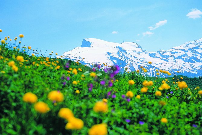 Mt Titlis Glacier Paradise Tour from Zurich With Lucerne - Two hours at Mt. Titlis, with four attractions
