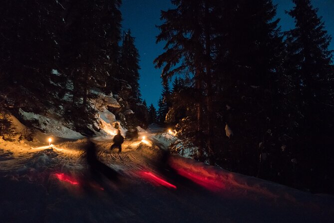 Night Sledding from Interlaken - A mountain ride that begins after dark