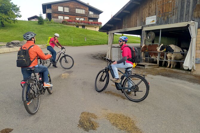 Panoramic E-Bike Tour with a Lake Cruise - Brunnen and the Swiss Army Knife connection