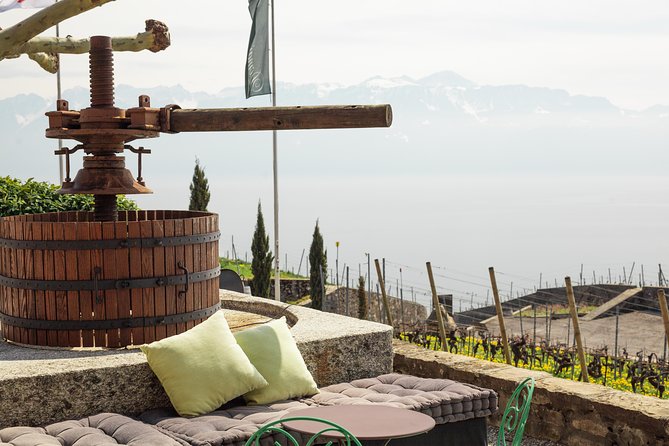 Panoramic Wine Tour From Lausanne - What the tasting is like