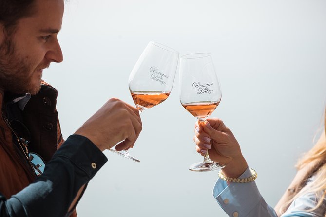 Panoramic Wine Tour From Lausanne - Who will enjoy this tour most