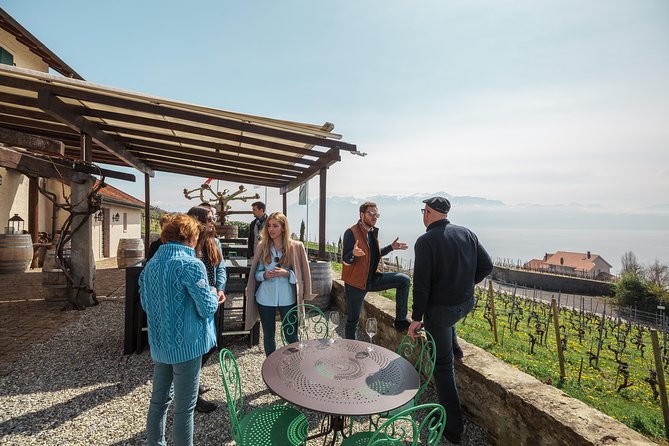 Panoramic Wine Tour From Lausanne - Why the open-top ride matters
