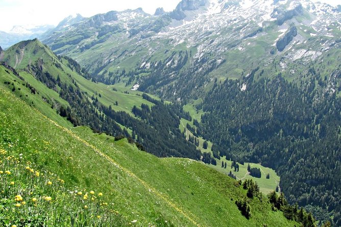 Peak to Peak Private Hiking Tour from Lucerne - What the private price buys you