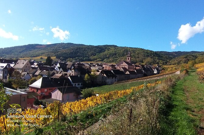 Pinot Noir & Pinot Wine Tour to Baden-Württemberg - What the $379.80 Price Covers