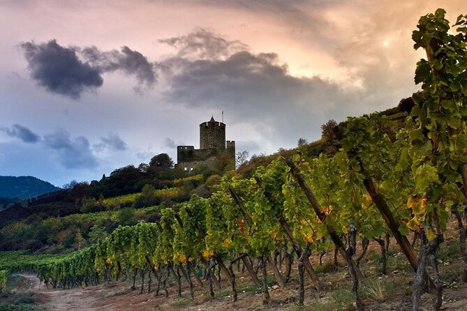 Pinot Noir & Pinot Wine Tour to Baden-Württemberg - Who Will Enjoy This Experience Most