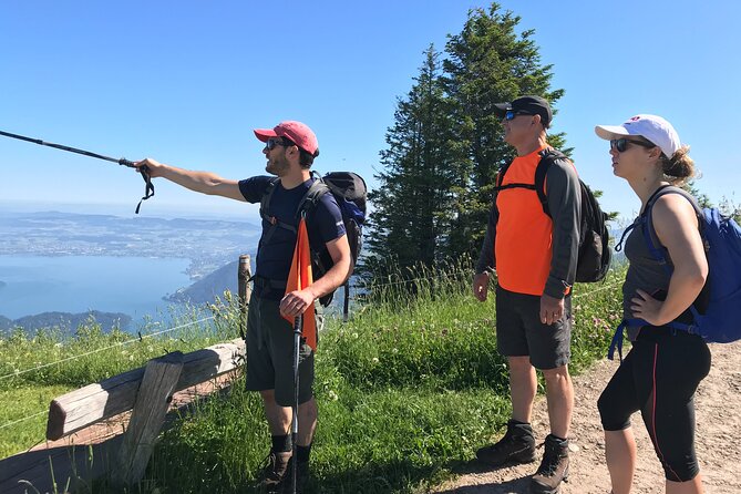 Private Guided Hike on Mt. Rigi with Farm Visit and BBQ - The farm visit and close-up cow country