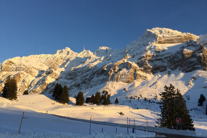 Private Guided Swiss Alps Day Trip from Zurich with Hotel Pick-Up - What the private format adds