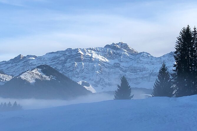 Private Guided Swiss Alps Day Trip from Zurich with Hotel Pick-Up - The final call on this Swiss Alps day trip
