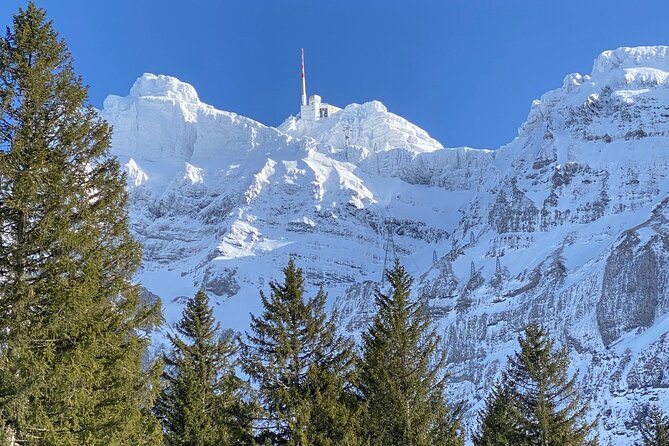 Private Guided Swiss Alps Day Trip from Zurich with Hotel Pick-Up - Appenzeller cheese in Stein