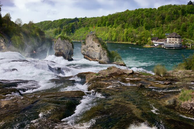 Private Half-Day Tour to the Rhine Falls with Pick-up at Hotel - Who will enjoy this half-day outing?