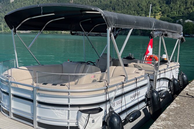 Private Sightseeing Boat Trip on Lake Thun, Interlaken - Captain Chris and the boat itself