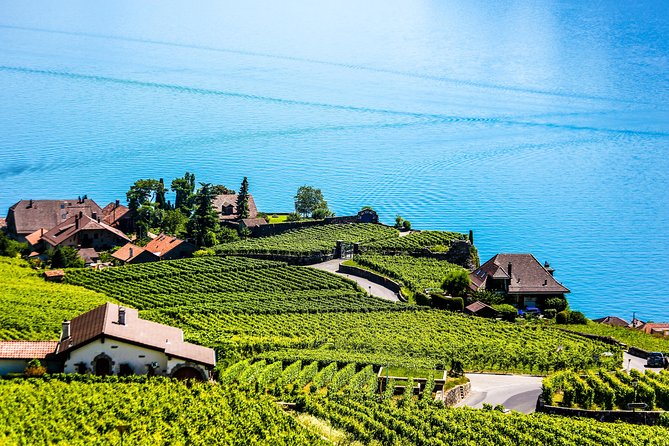 Private Tour to Gruyères, Chocolate & Cheese Factory from Geneva - Price, inclusions, and what $629.22 means
