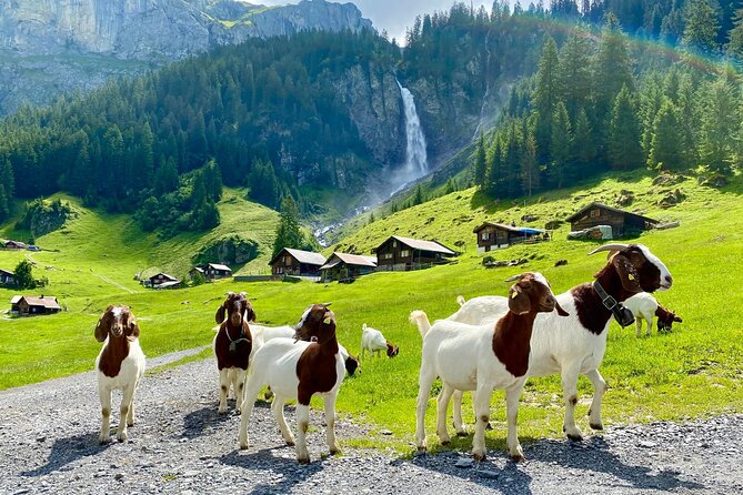 Private tour to the most breathtaking insider spots in Switzerland (1 day) - From Zurich to Lake Lucerne, the day starts on the road