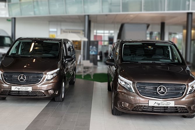 Private Transfer from Grindelwald to Zurich Airport - Families and ski groups get useful flexibility